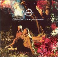 Nightmares On Wax - Environment